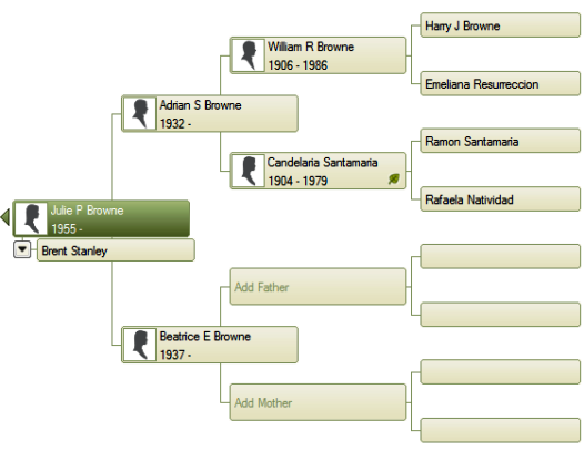 family tree