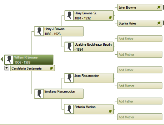 family tree