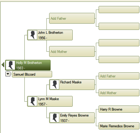 family tree