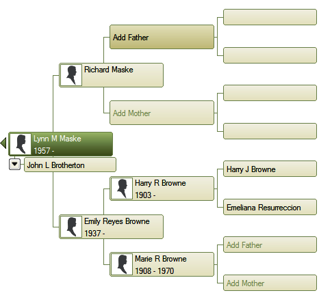 family tree