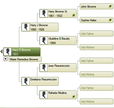 family tree