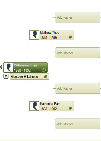 family tree