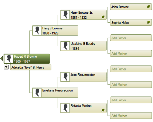 family tree