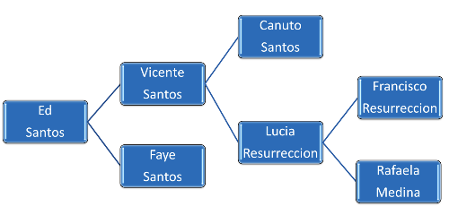 family tree