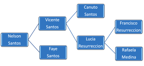 family tree