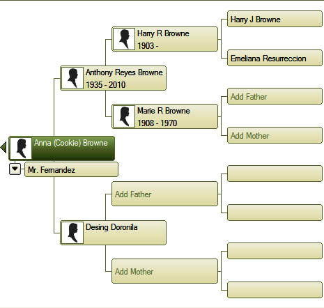 family tree