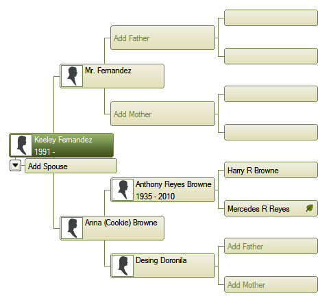 family tree