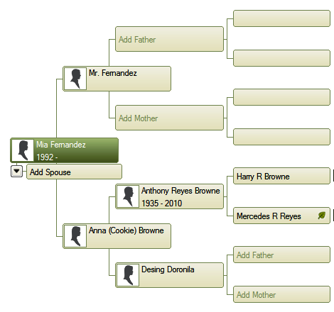 family tree